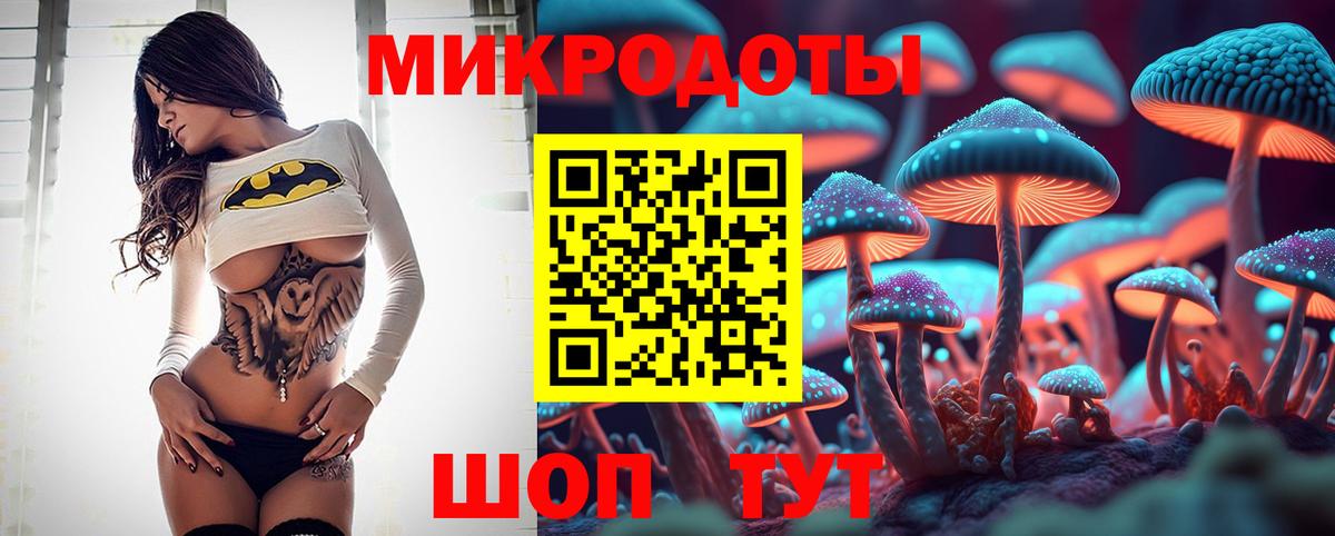 Дубна  Галлюциногенные грибы прущие грибы  Псилоцибиновые грибы Psilocybe  Вход с VPN 